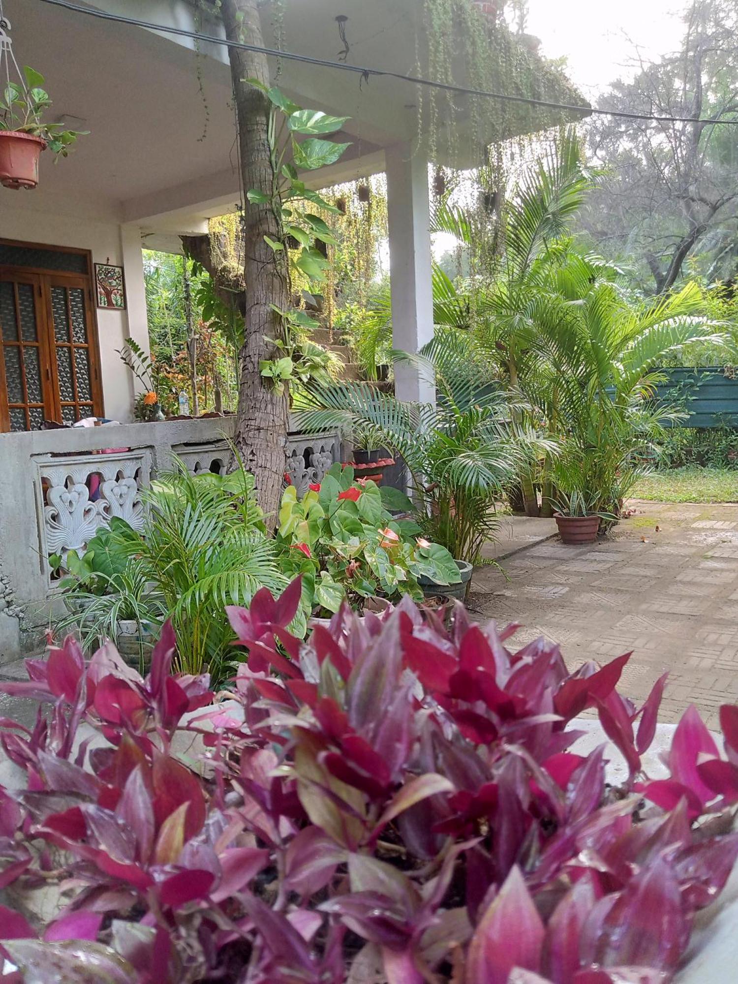 Nelum Home Stay Сигирия Экстерьер фото